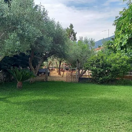 Apartment Margiani Chalkida